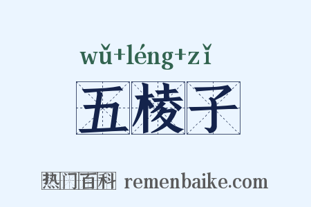 五棱子是什么意思的图片